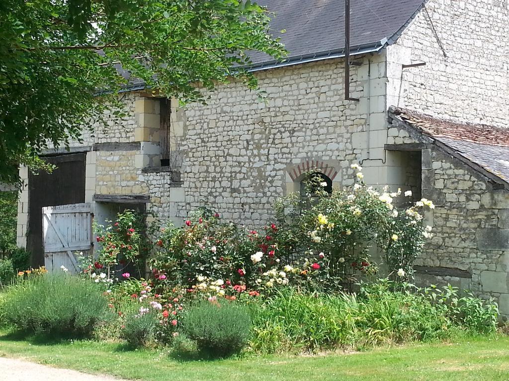 La Cle Des Jardins Bed & Breakfast Nouatre ภายนอก รูปภาพ