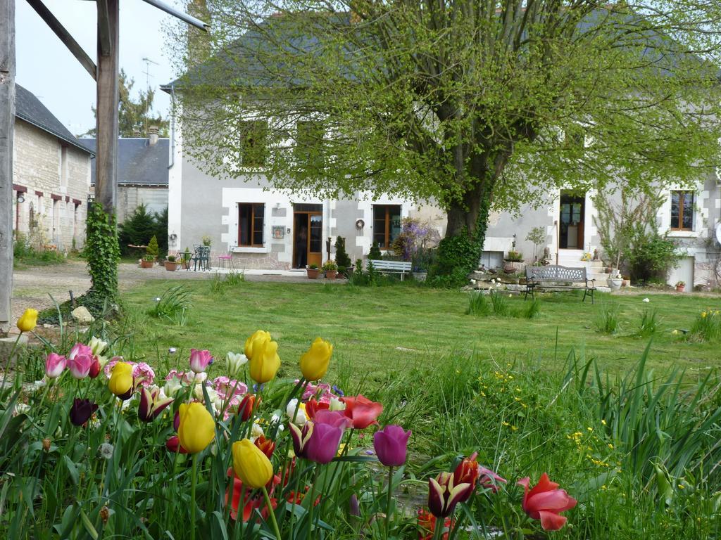 La Cle Des Jardins Bed & Breakfast Nouatre ภายนอก รูปภาพ